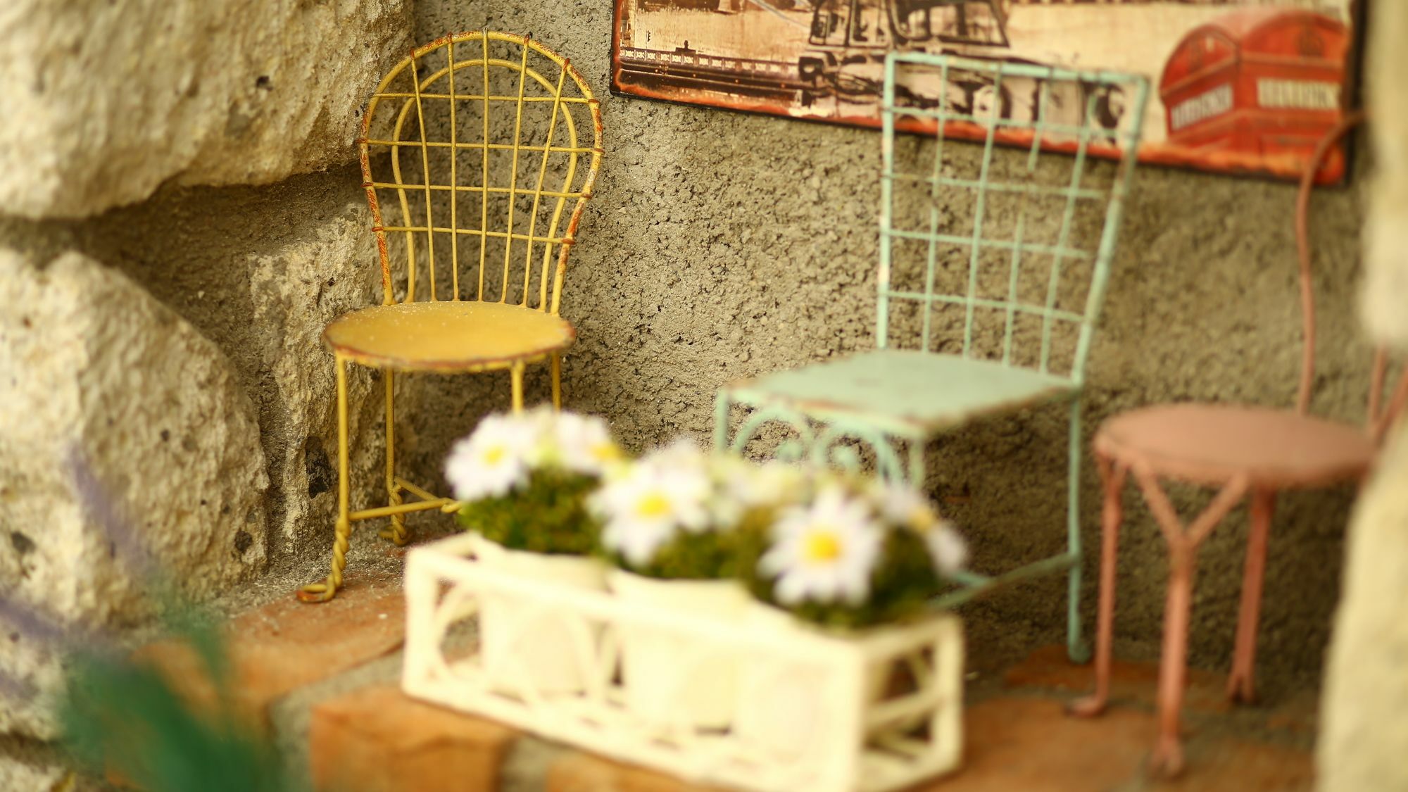 Homestay La Mia Casa