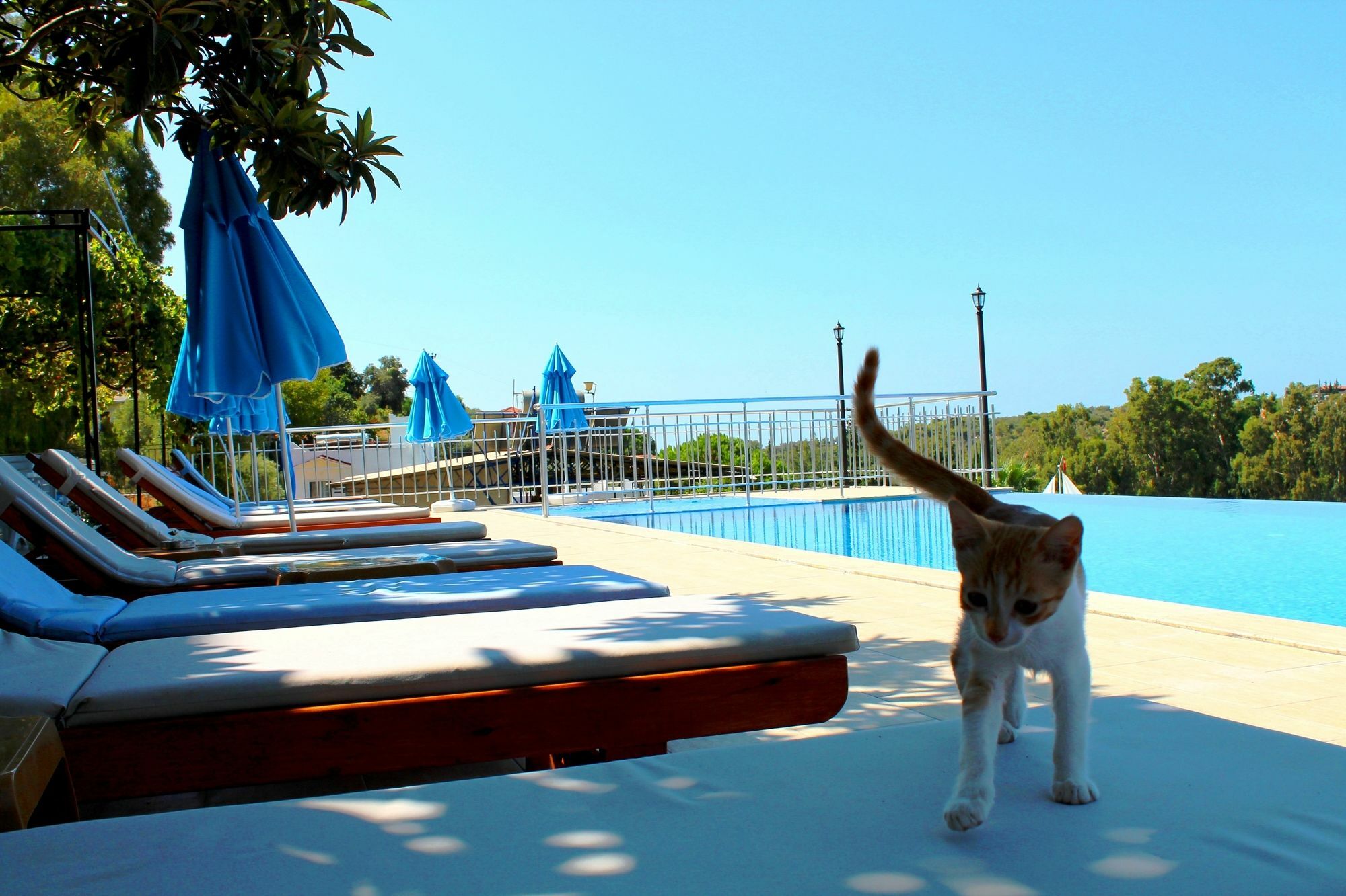 Sun Club