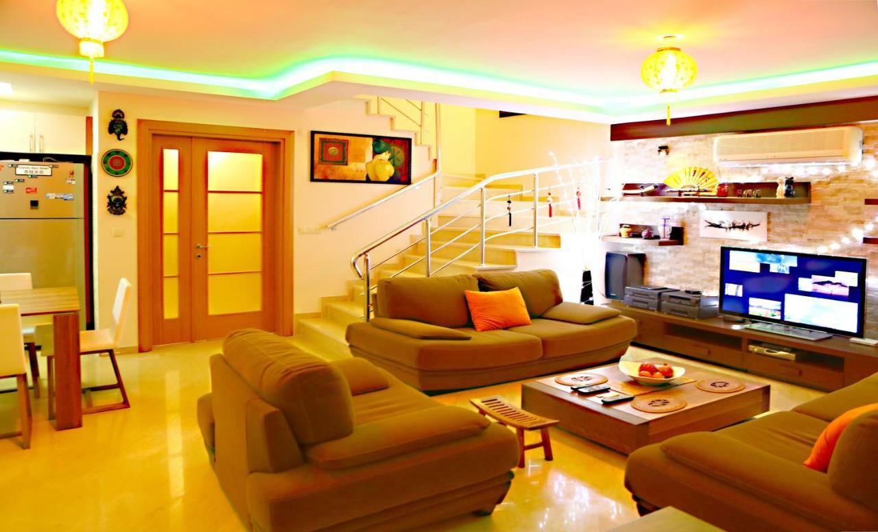 Villa Paradise Town Premium