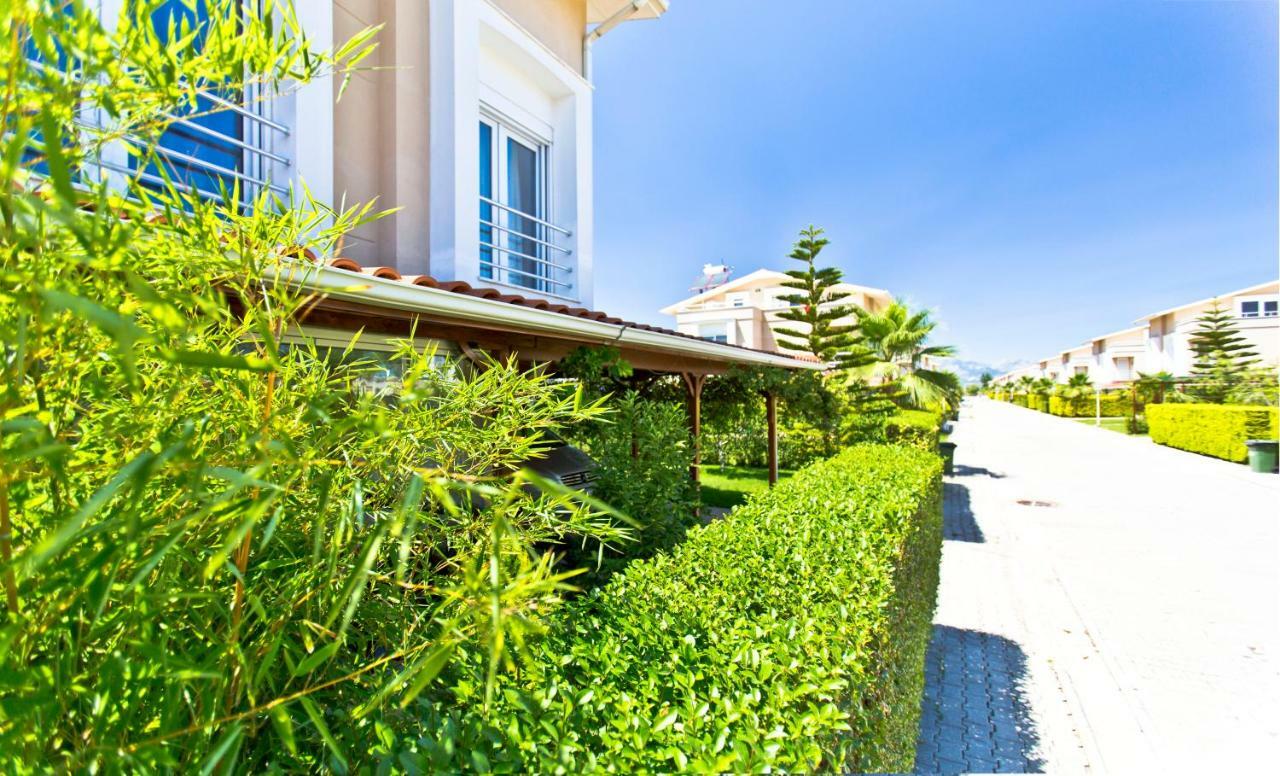 Paradise Town Premium Villa