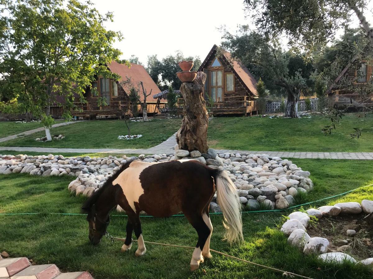 Kazdaglari Ida Natura Bungalov Hotel Hotel