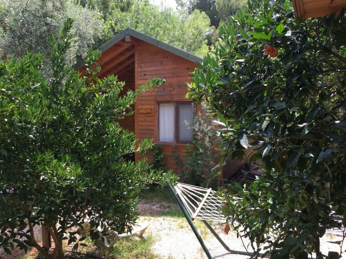 Campsite Halil *