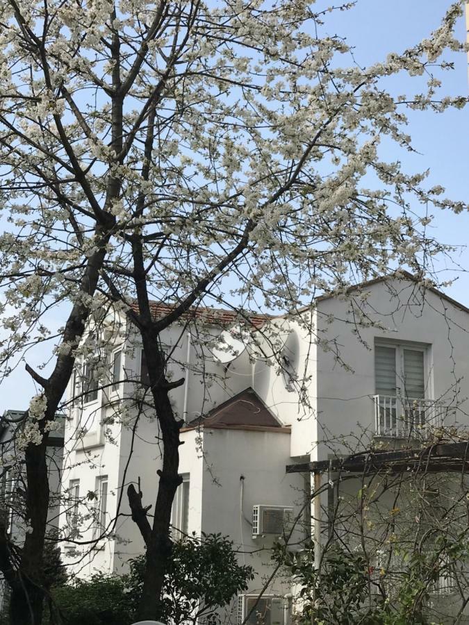 Villa Ata Atakent *