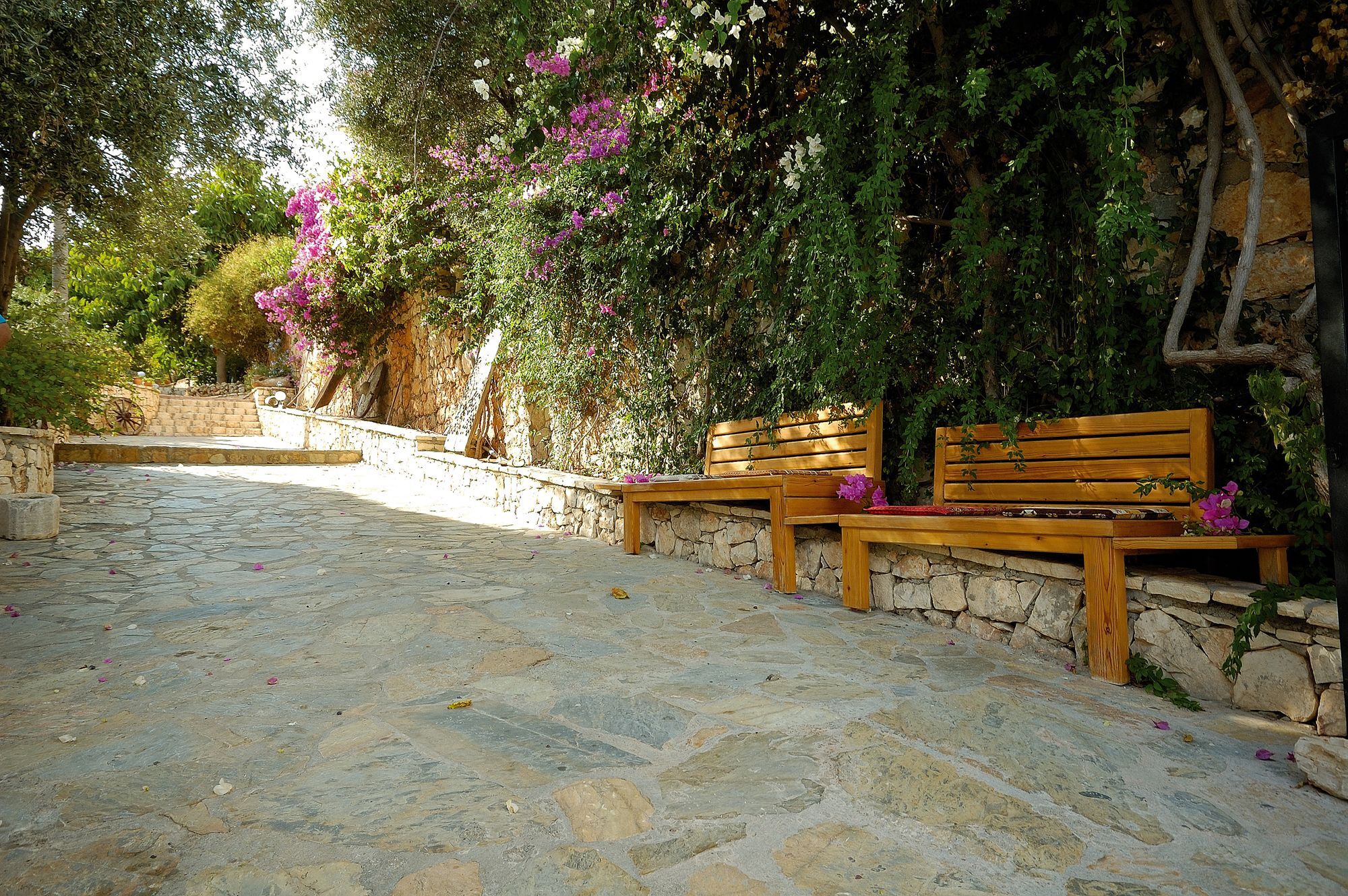 Lycia 4*