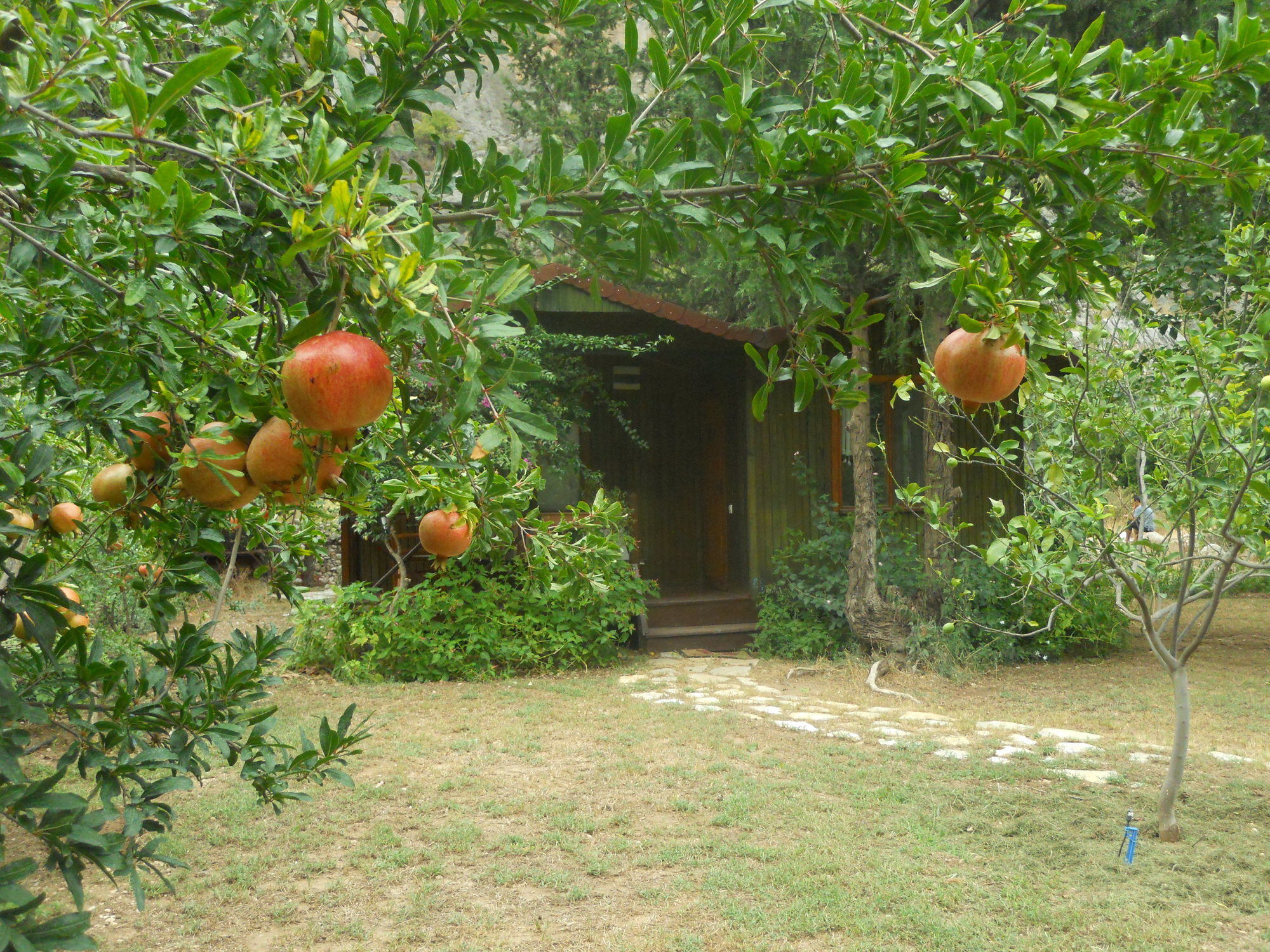 Kibala Holiday park 2*