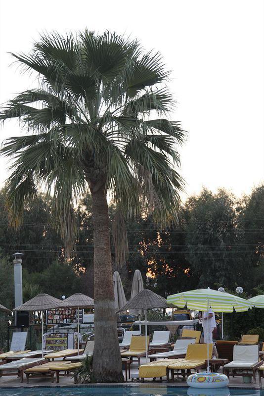 Anadolu Bodrum Hotel 4*