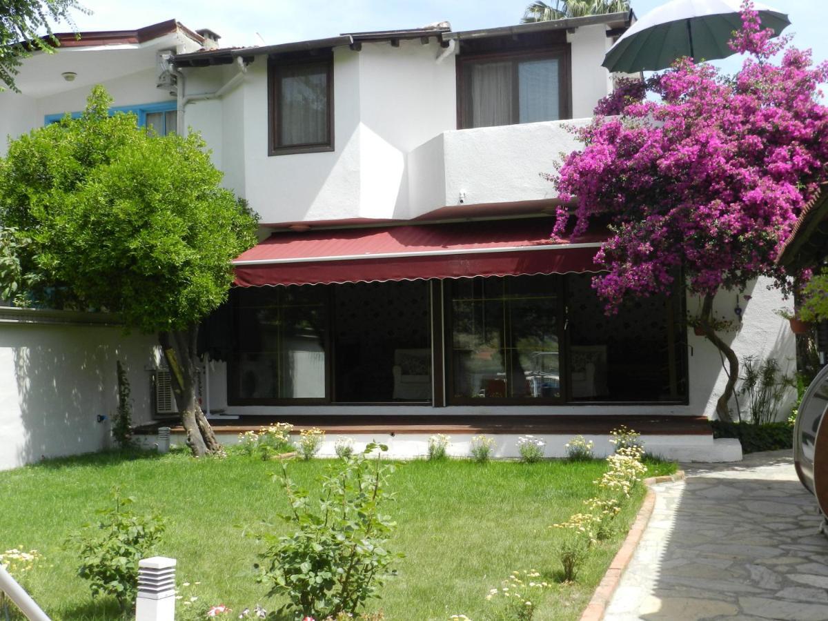 Kano Dalyan