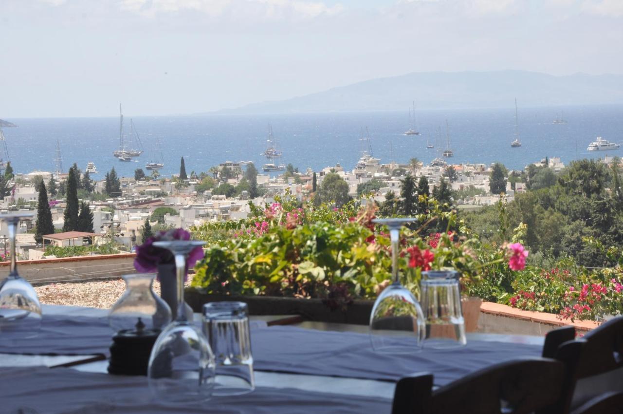 Hotel El Vino &