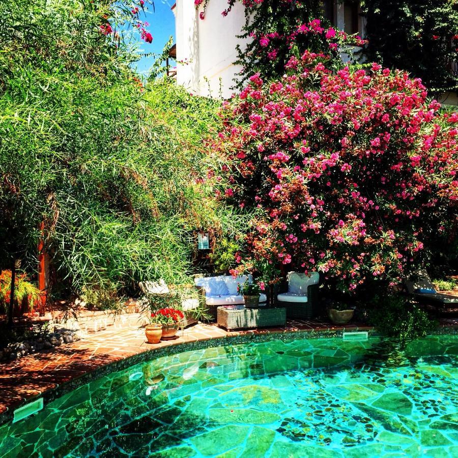 El Vino & Hotel 4*