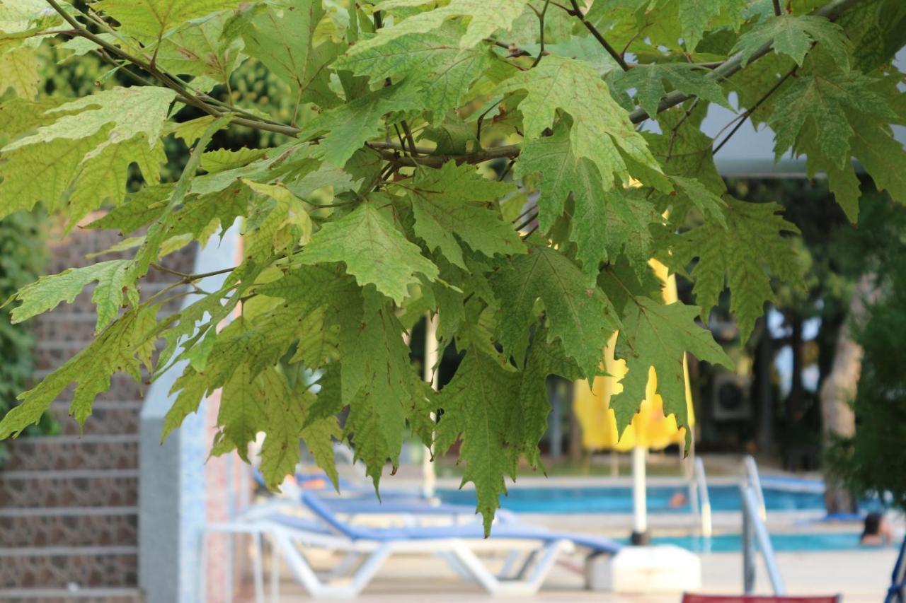 Hotel Atamer Doga