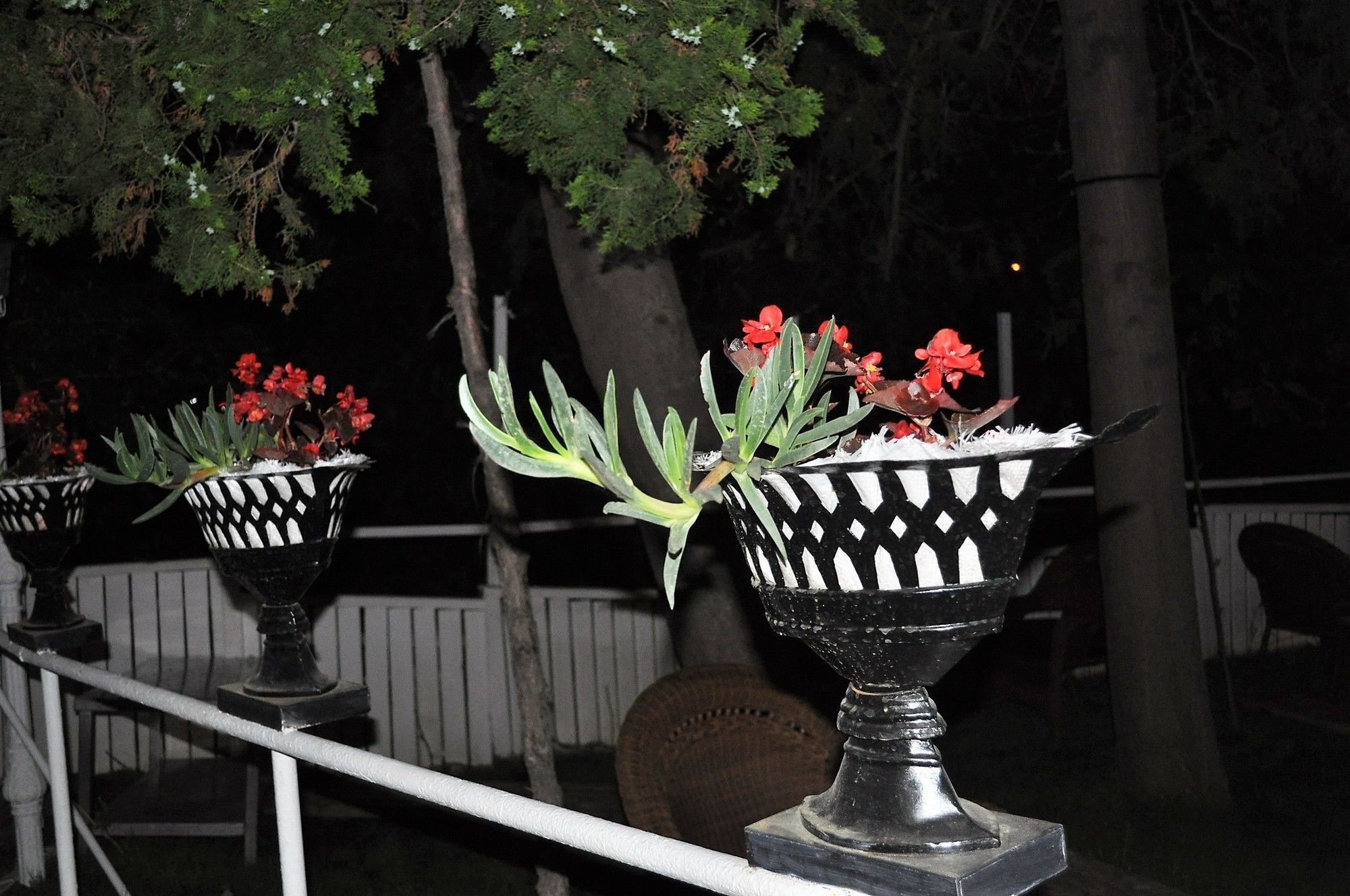 Syedra Princess Hotel