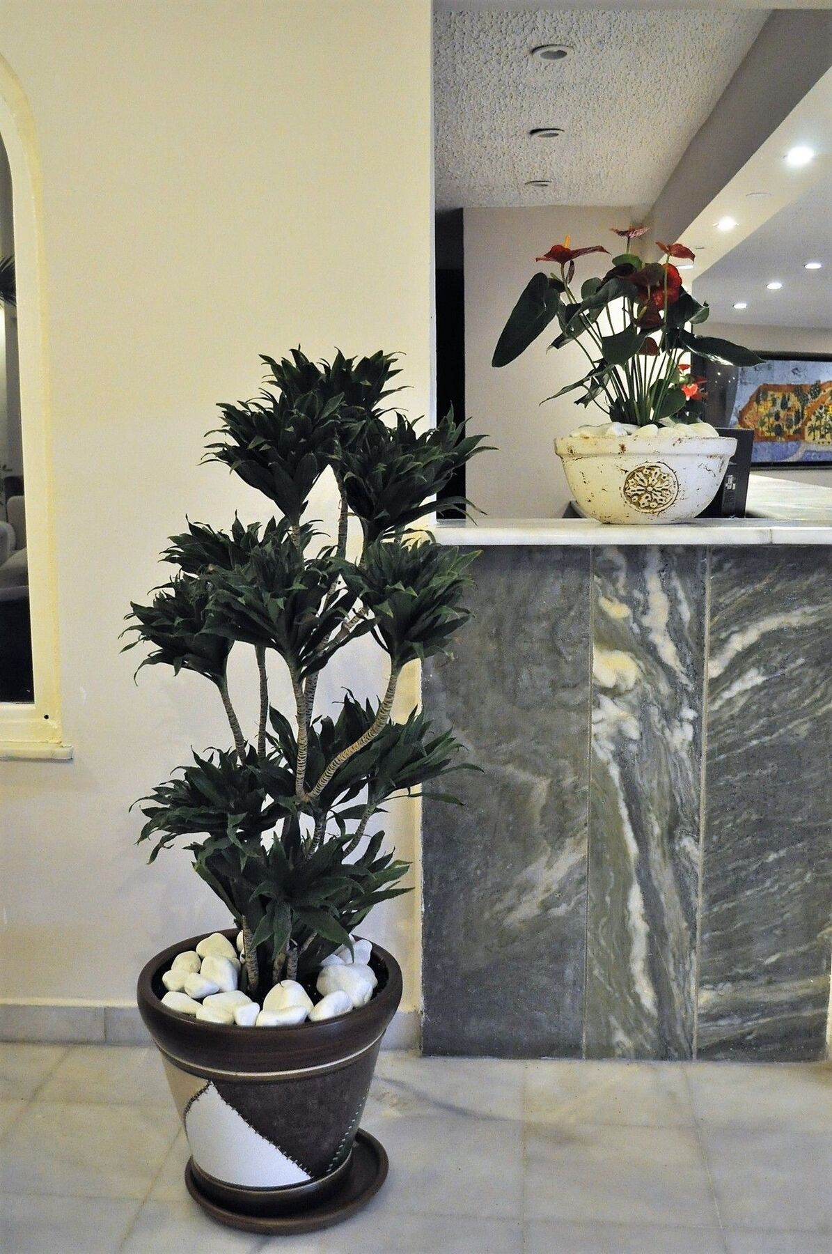 Hotel Syedra Princess Mahmutlar
