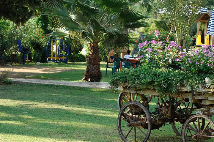 Hotel Aska Baran Avsallar