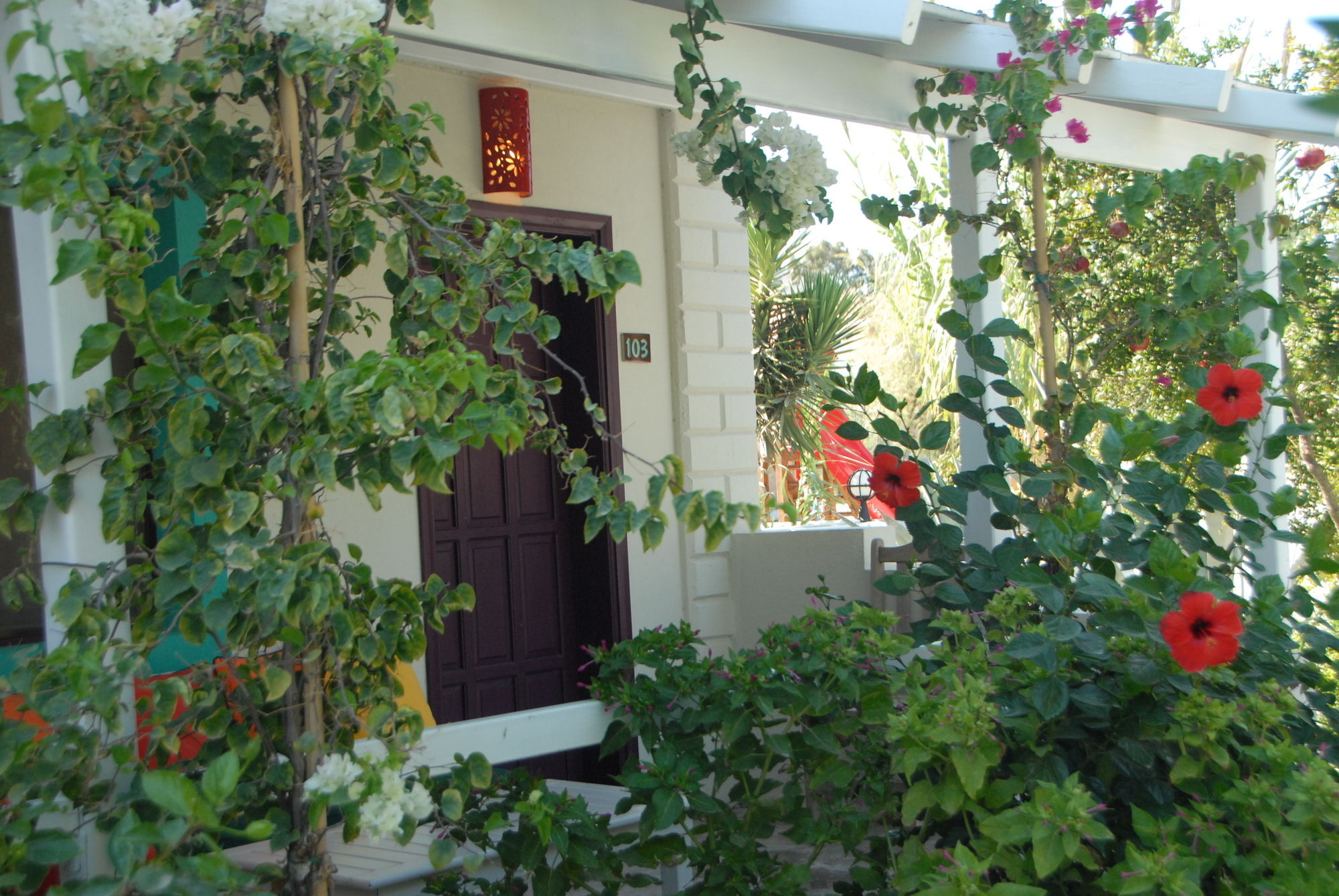 Hotel Kefi And 4*