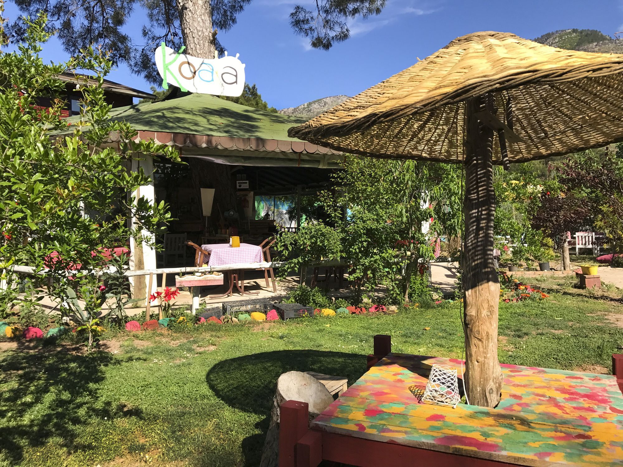 Koala 3* Olympos