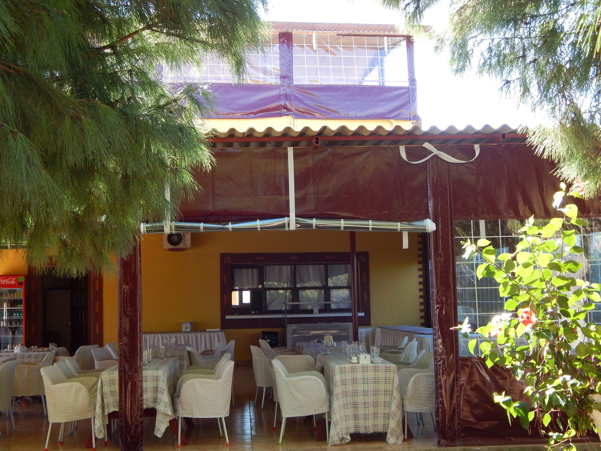 Hotel Koru Beach Club