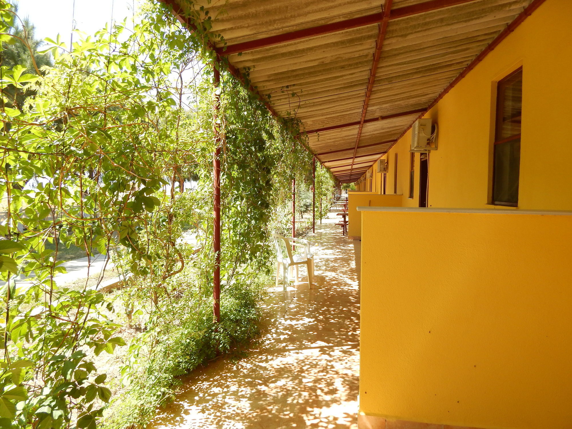 Hotel Koru Beach Club