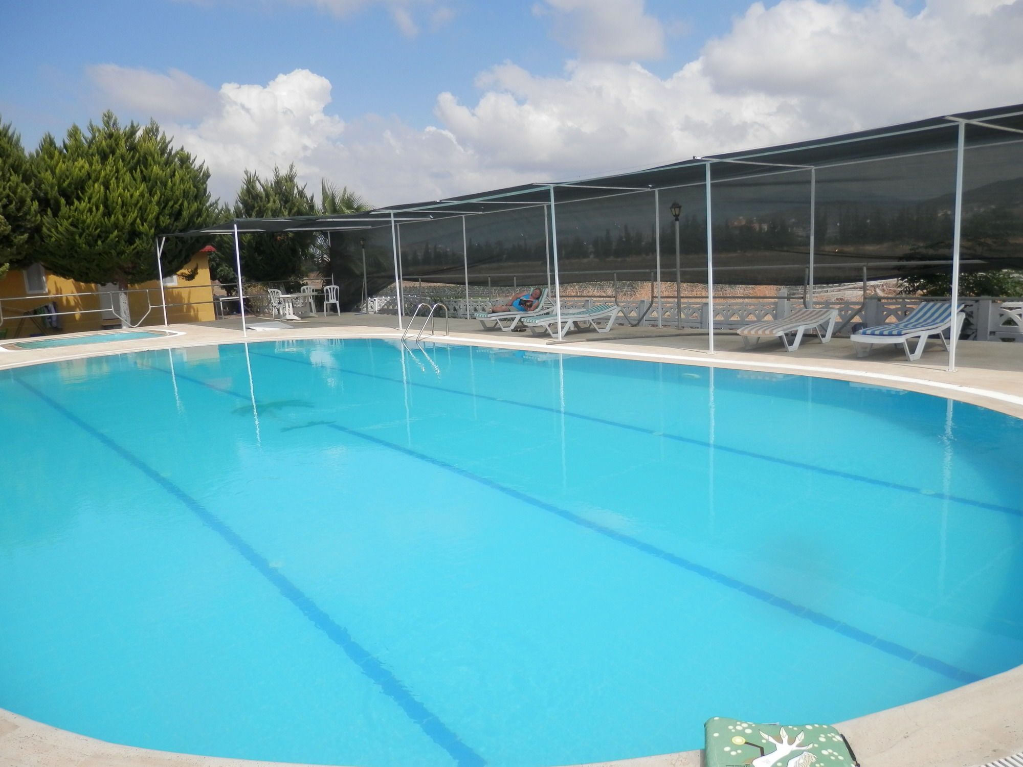 Hotel Koru Beach Club