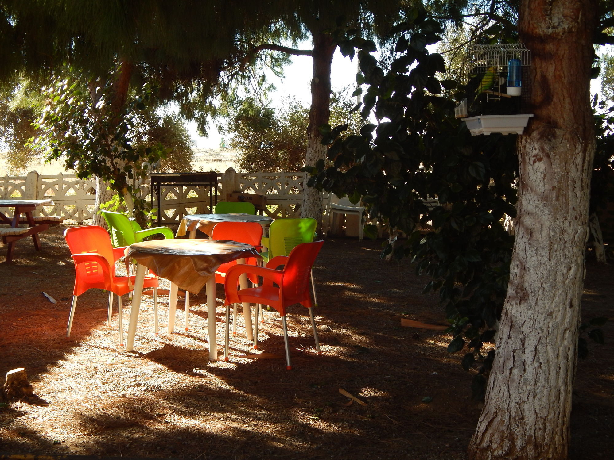 Koru Beach Club Gazipasa