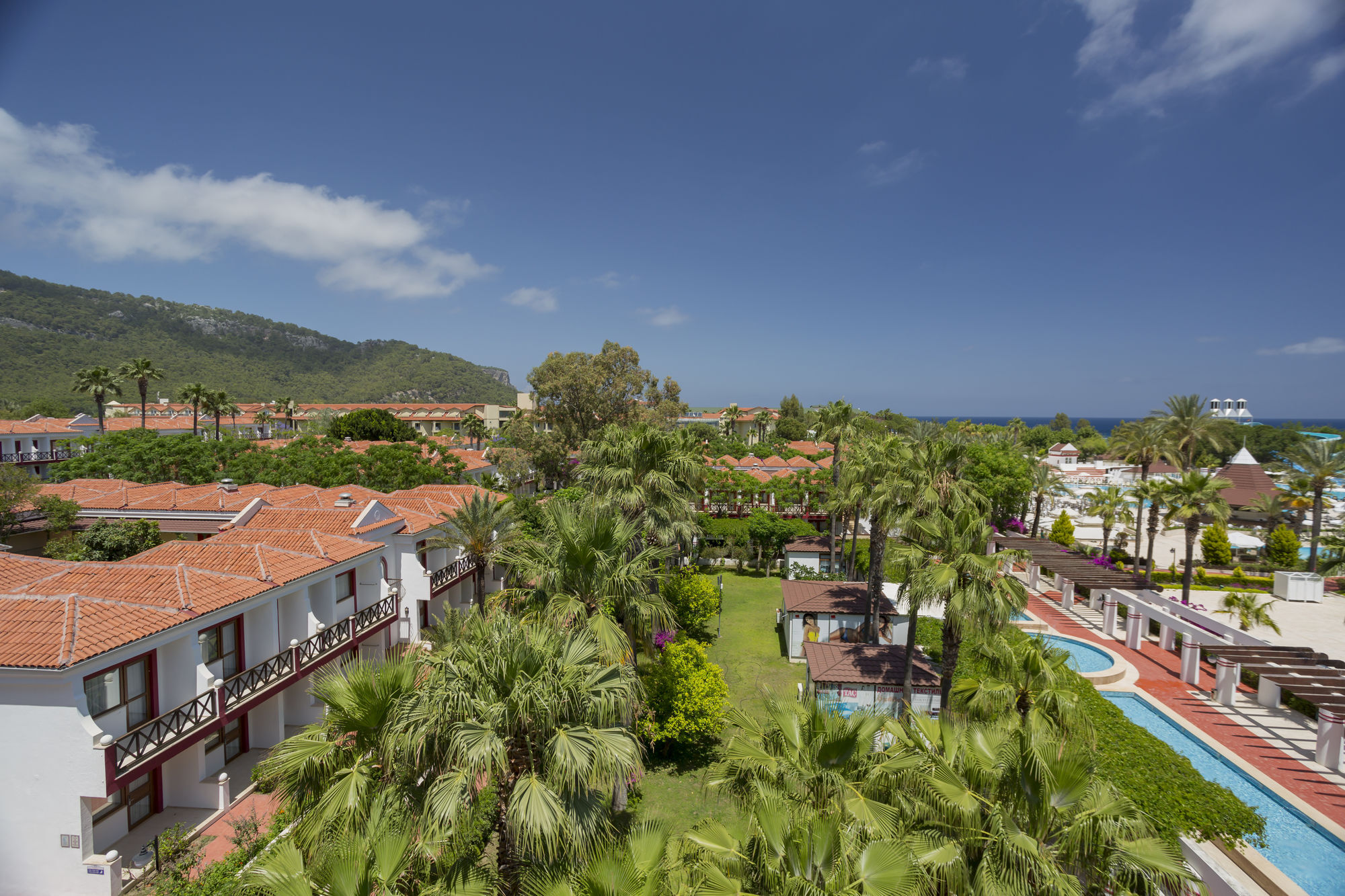 Swandor & -