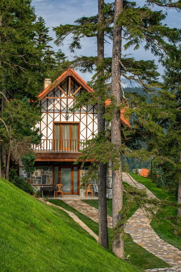 Foleya Mountain &