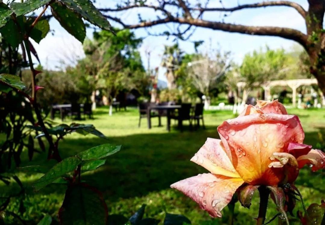 Bed & Breakfast Otantik Tas Ev 3*