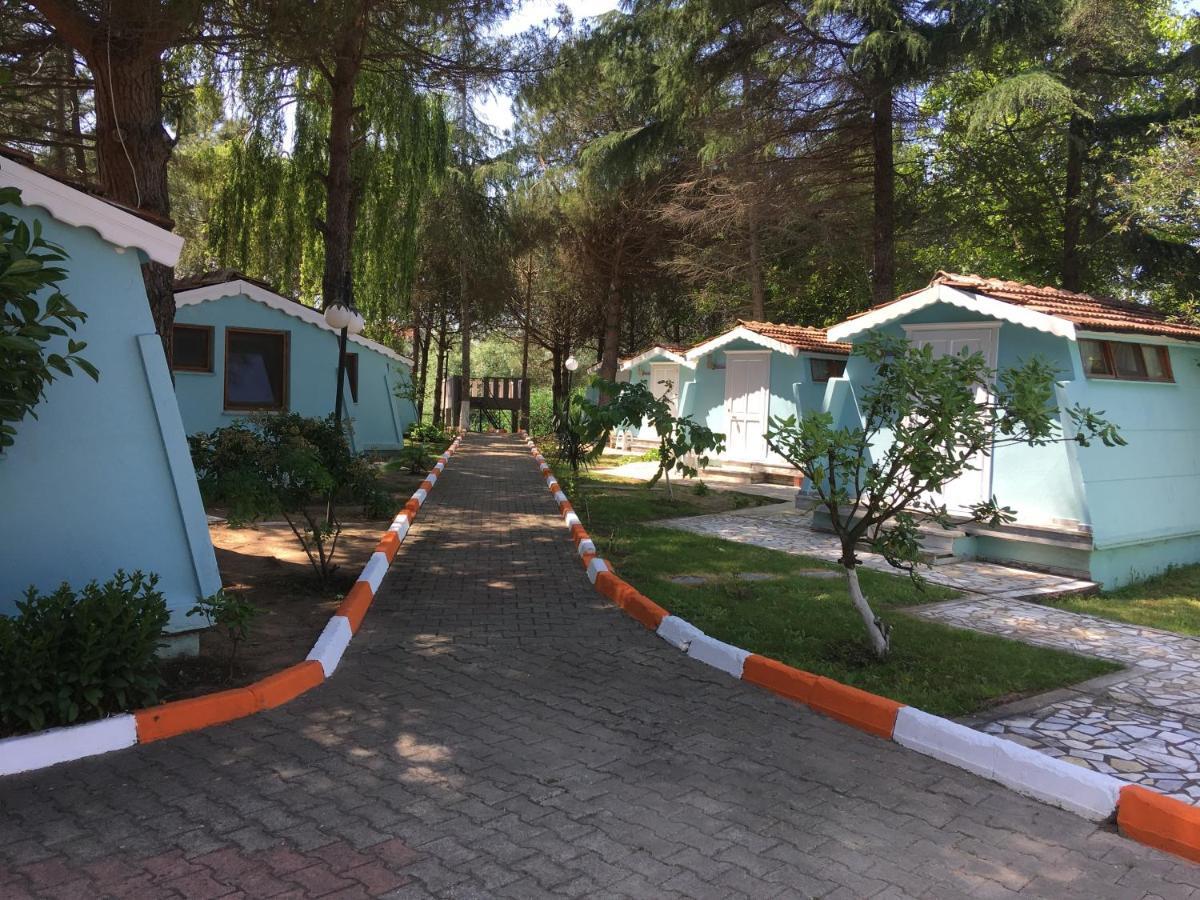 Shila Doert Mevsim Tatil Koyu