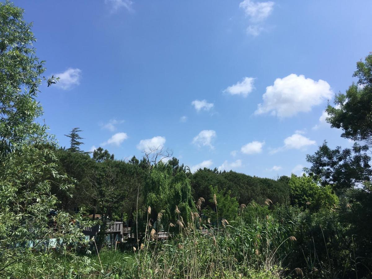 Resort Shila Doert Mevsim Tatil Koyu Sile