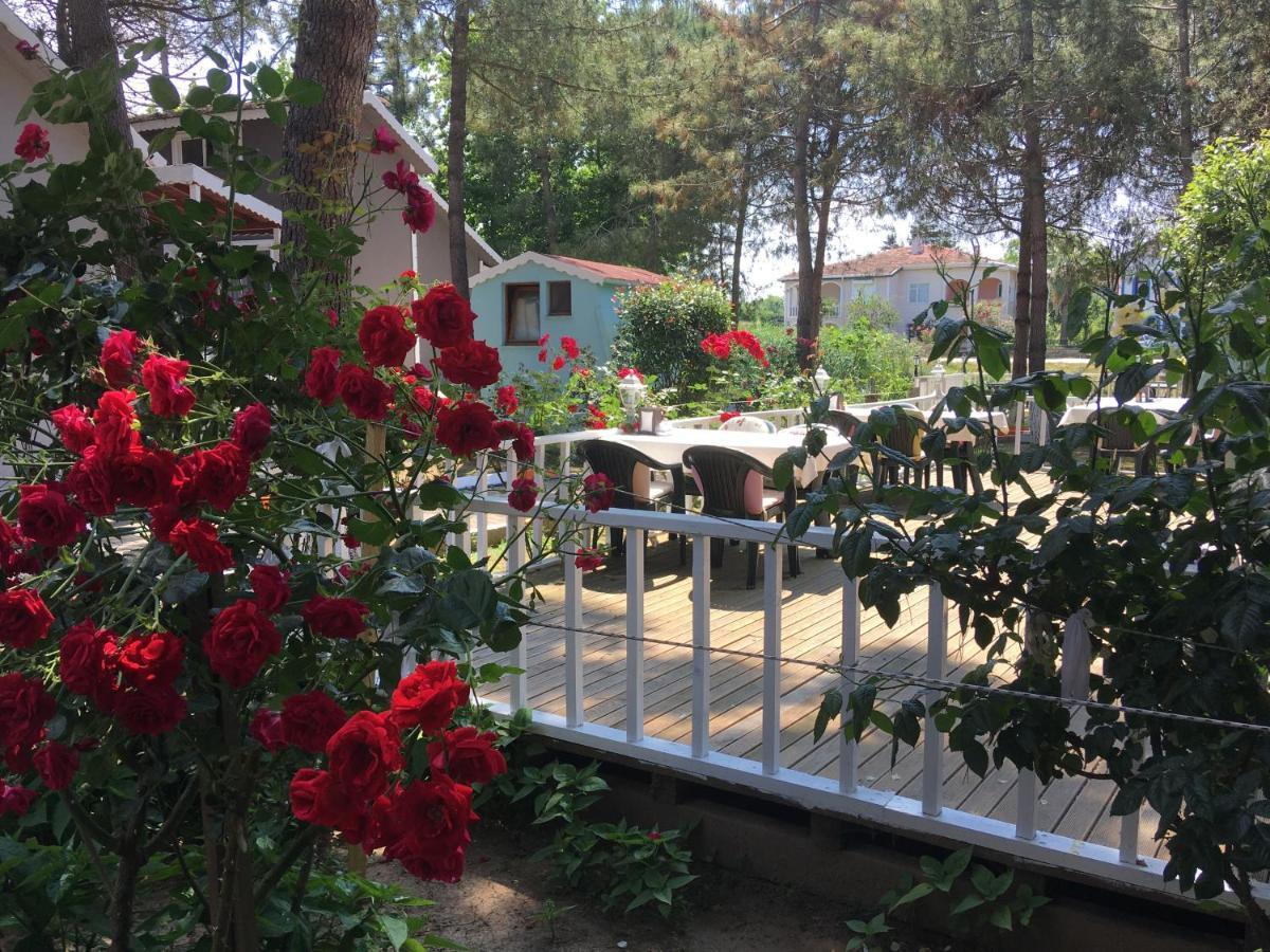 Shila Doert Mevsim Tatil Koyu