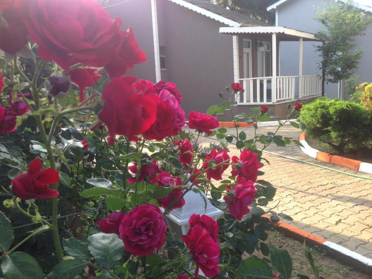 Resort Shila Doert Mevsim Tatil Koyu 3*