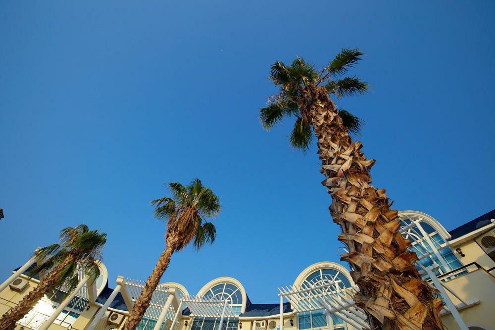 Seahorse Deluxe 3* Didim