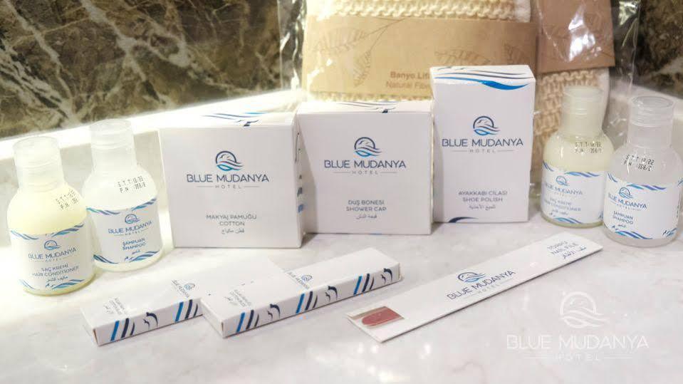 Blue Mudanya 4*