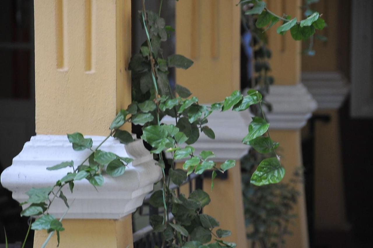 Hotel Antikhan