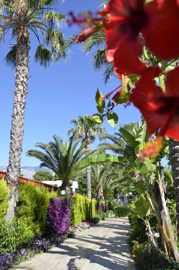 Emelda Sun Club 5*