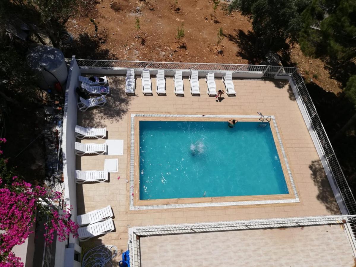 Cicek * Didim