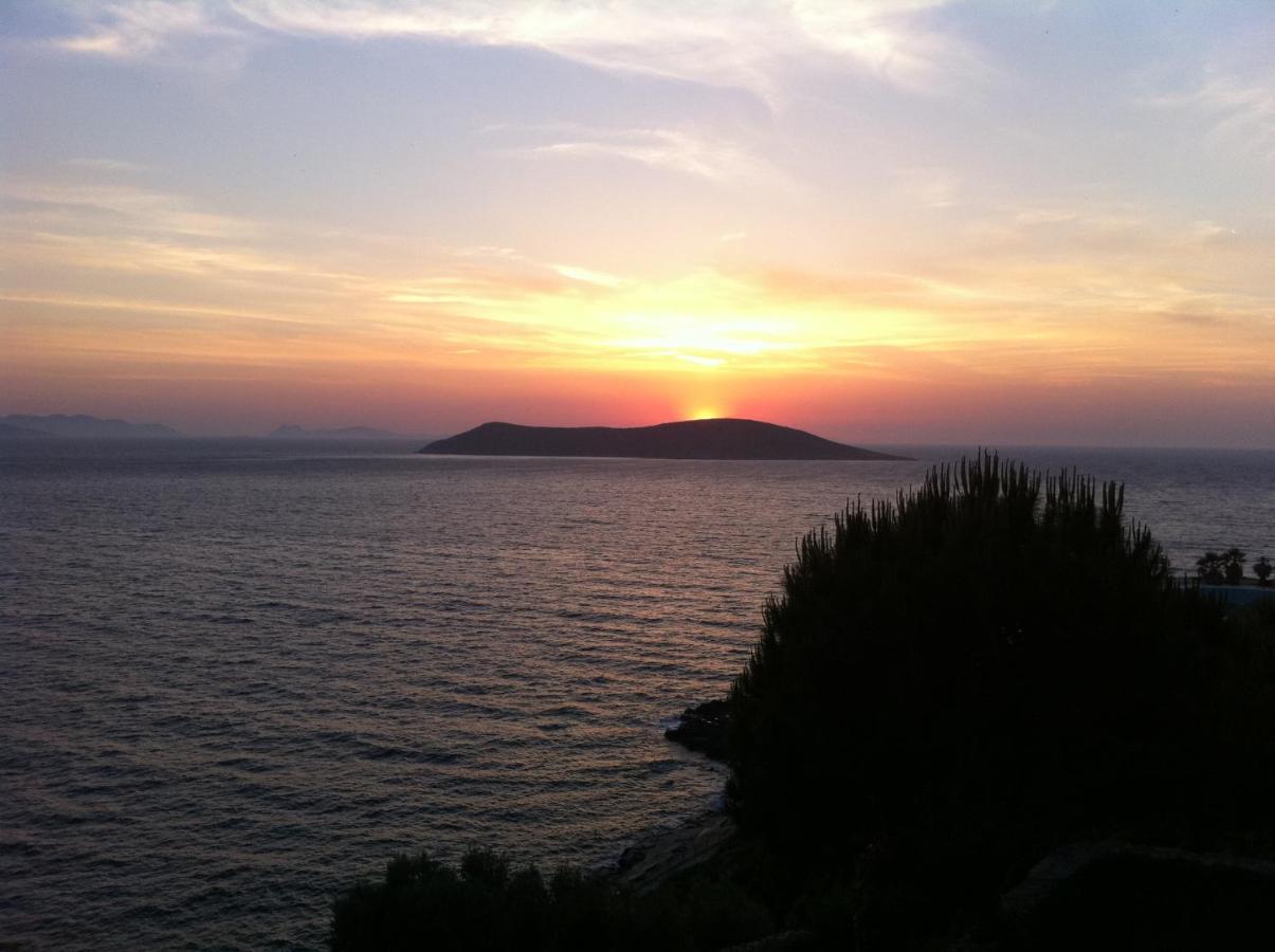 Arion Hotel Gumusluk
