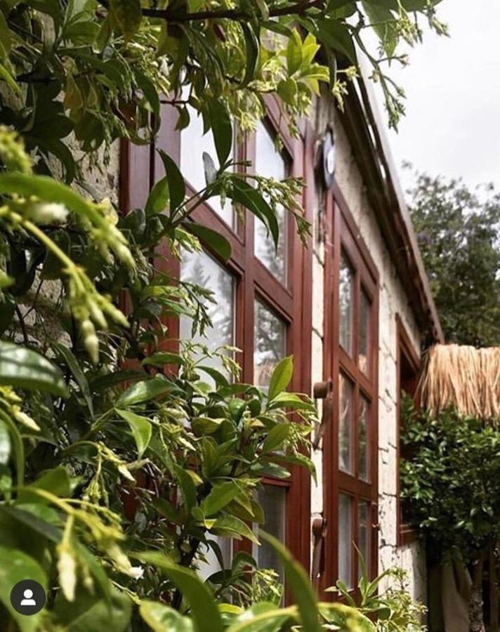 Zevkliler Boutique & Fine Dining Bed & Breakfast Alacati