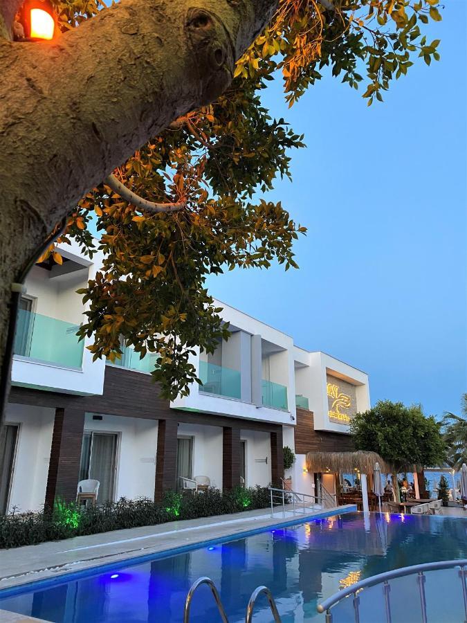 Zest Exclusive & 3* Ortakent