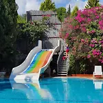 Silver Pine Hotel