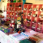 Alterna Koey Evi