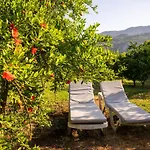 Ikiz Villas