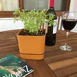Katya\'S Home