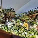Ali Baba\'S House