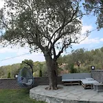 Assos Luna Houses