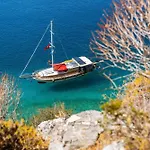 Blue Cruise