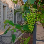 Villa Neveda Mit Tennis Und Basketballplatz