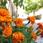 Demirkapi Konak Hotel