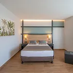 Club Dizalya