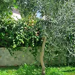 Your Home In Kusadasi