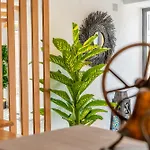 Lupia Suites